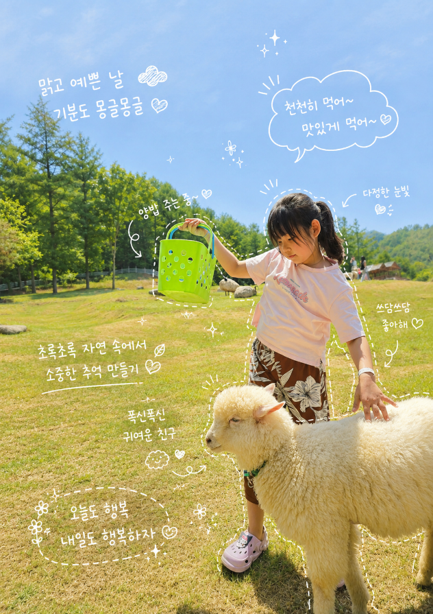 3754a904-e793-48a0-9191-8c356e286e65.png